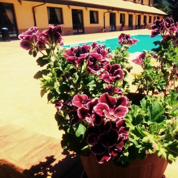 Del Riccio Hotel Martirano Exterior photo